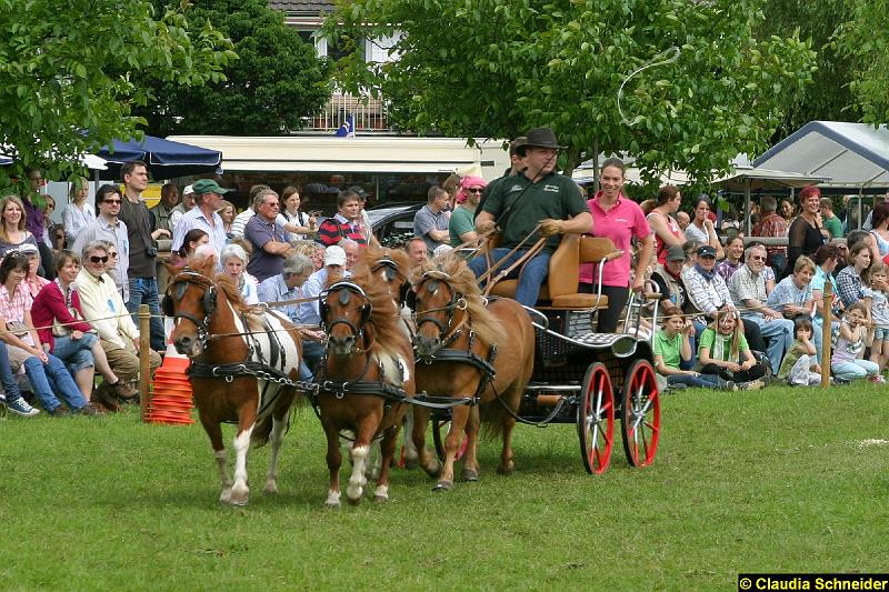 Ponytag Bosbach 2012-053.jpg